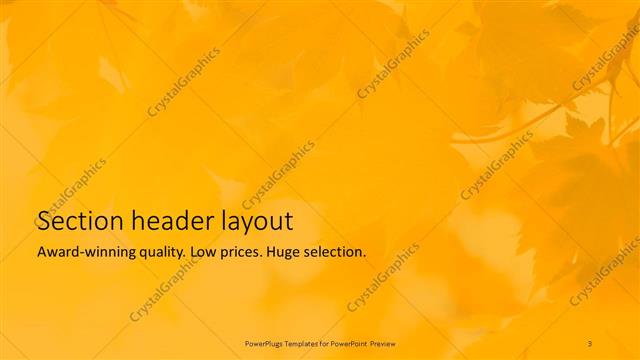 Section Header presentation slide layout