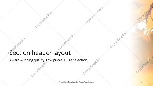 Section Header presentation slide layout