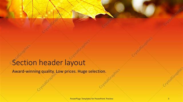 Section Header presentation slide layout