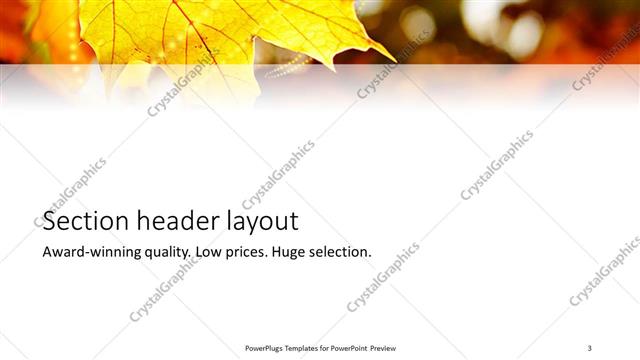 Section Header presentation slide layout