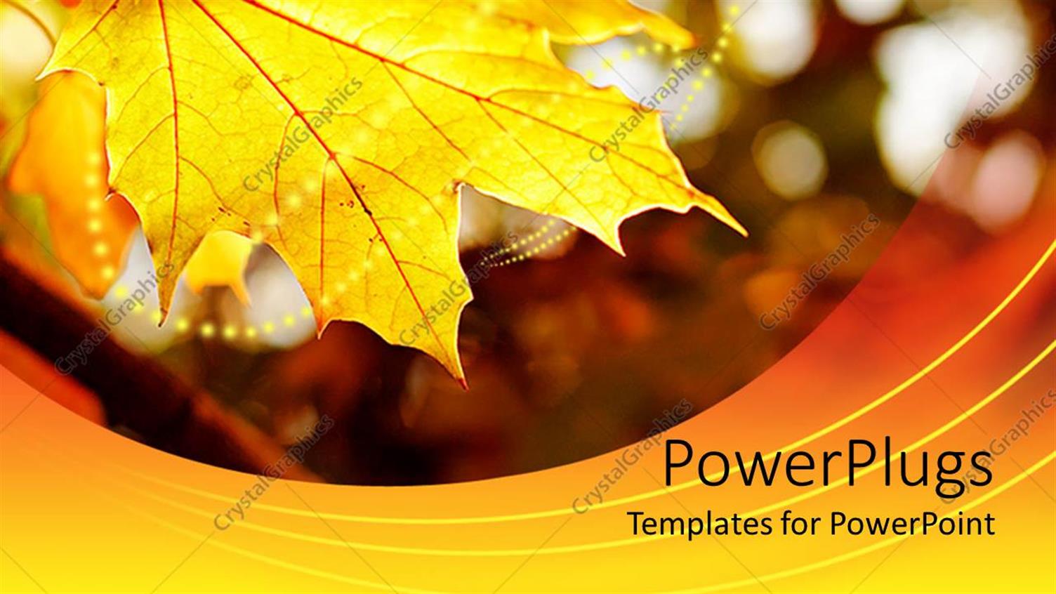 Premium Template for PowerPoint & Google Slides 