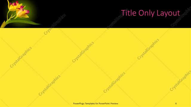 Title Only presentation slide layout