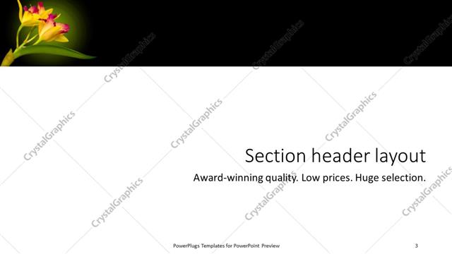 Section Header presentation slide layout