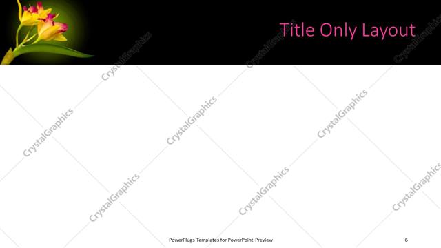 Title Only presentation slide layout