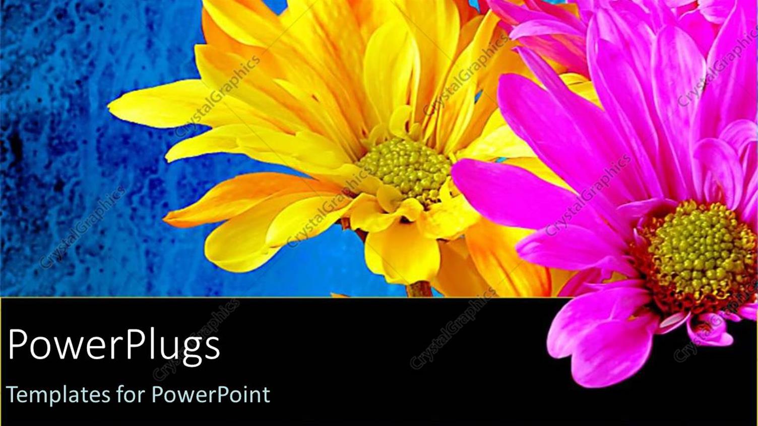 Premium Template for PowerPoint & Google Slides 