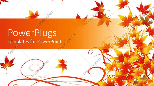  Presentation with abstract leaves - Yellow and red colored summer leaves on white background