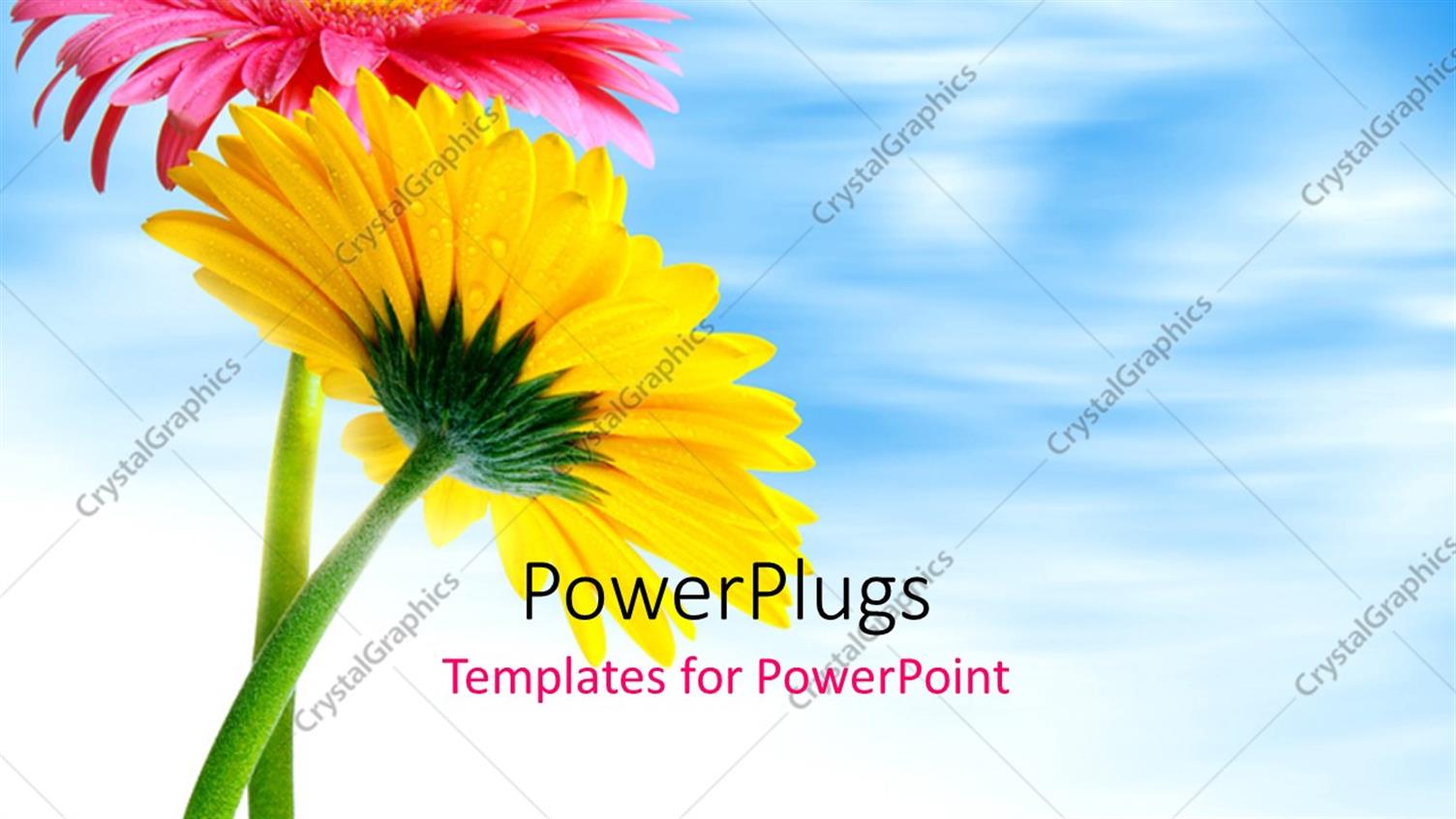 Premium Template for PowerPoint & Google Slides 