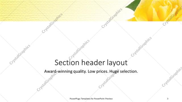 Section Header presentation slide layout