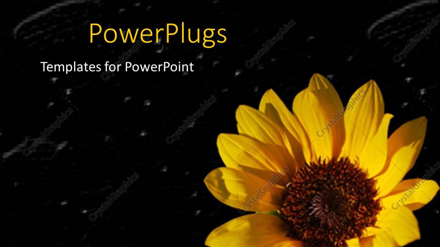 Premium Template for PowerPoint & Google Slides 