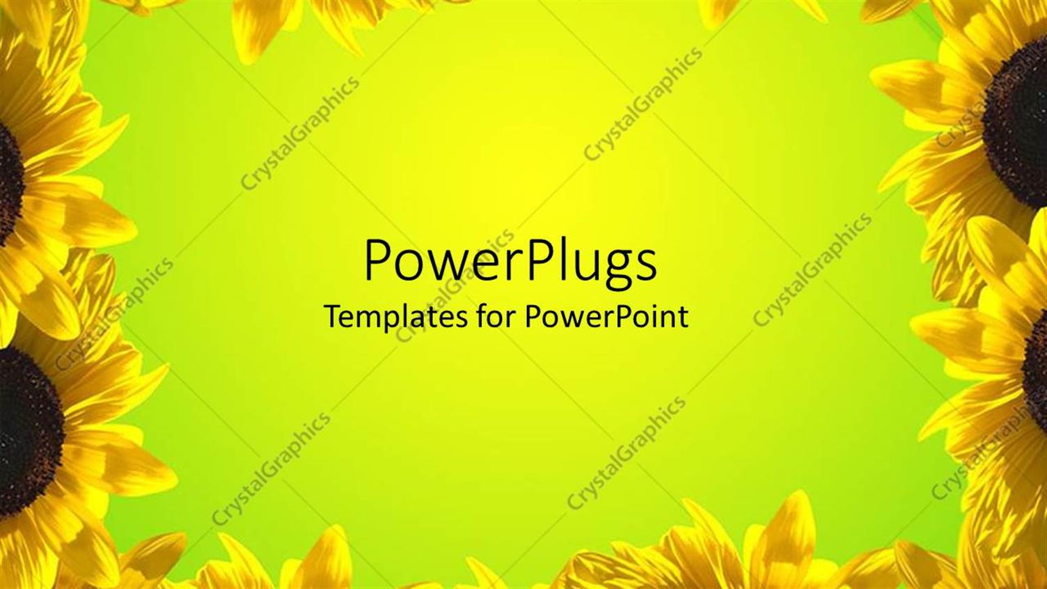 Premium Template for PowerPoint & Google Slides 