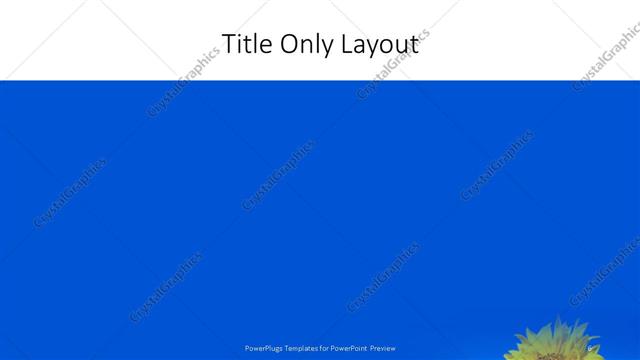 Title Only presentation slide layout