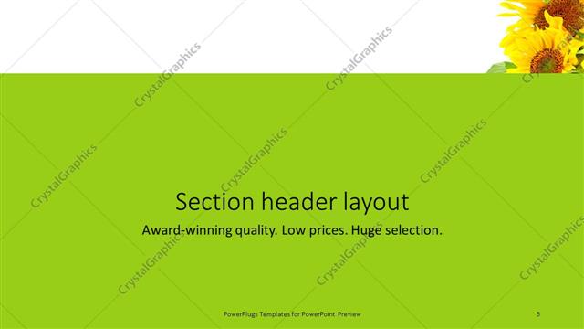 Section Header presentation slide layout
