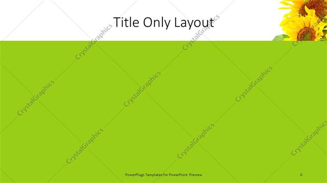 Title Only presentation slide layout