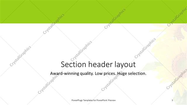 Section Header presentation slide layout