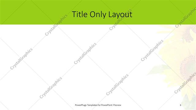 Title Only presentation slide layout