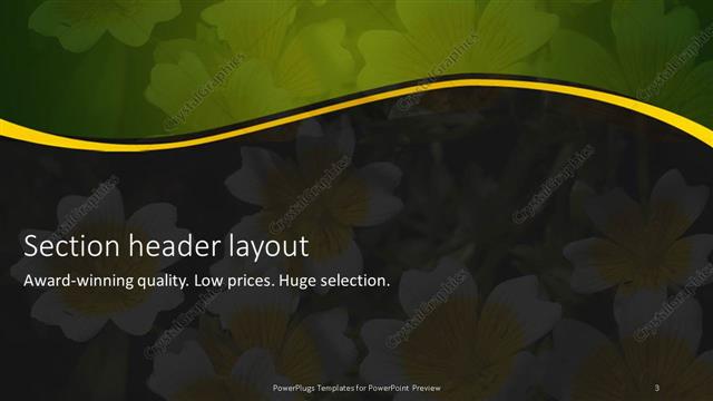 Section Header presentation slide layout