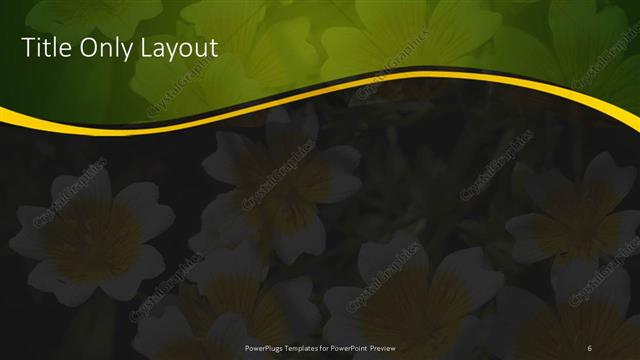 Title Only presentation slide layout