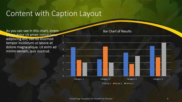 Content with Caption presentation slide layout