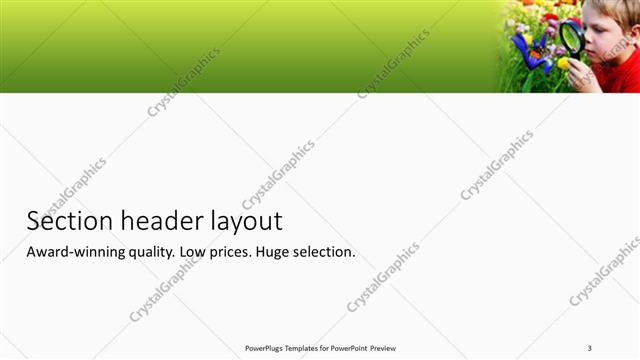 Section Header presentation slide layout