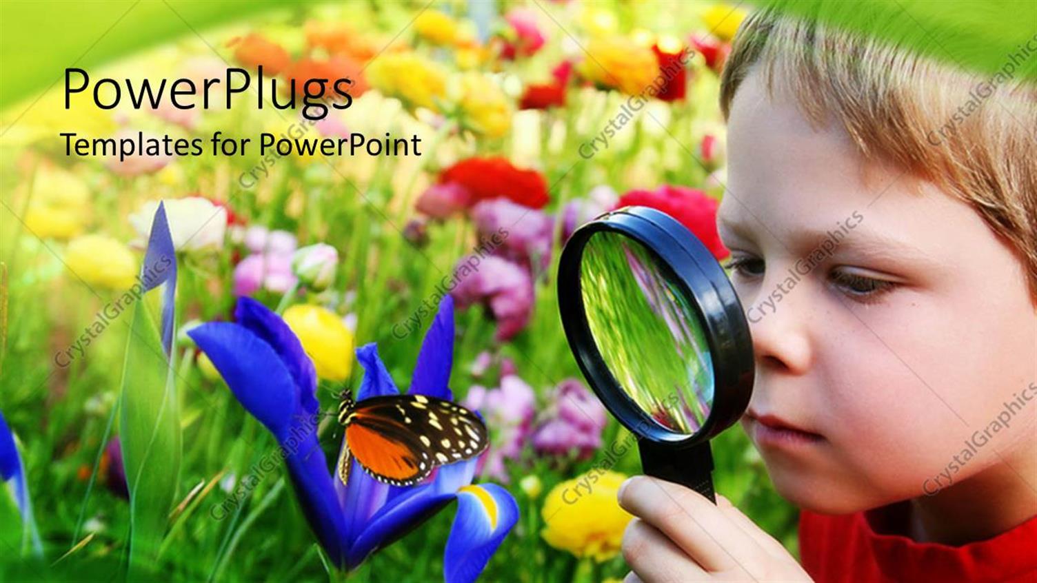 Premium Template for PowerPoint & Google Slides 