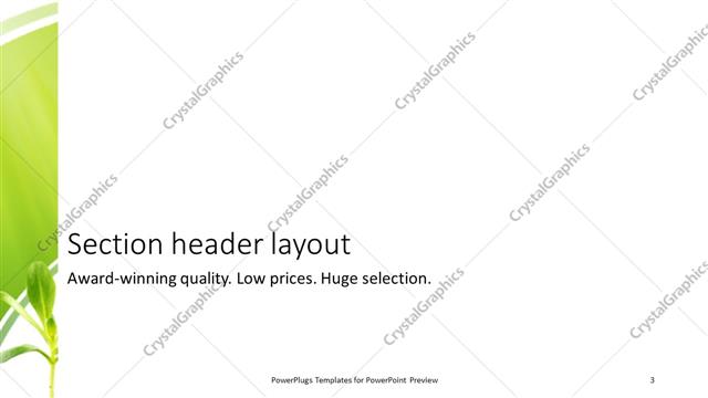 Section Header presentation slide layout