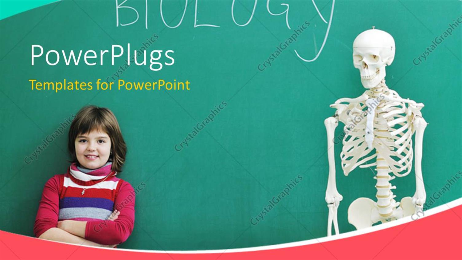 Premium Template for PowerPoint & Google Slides 