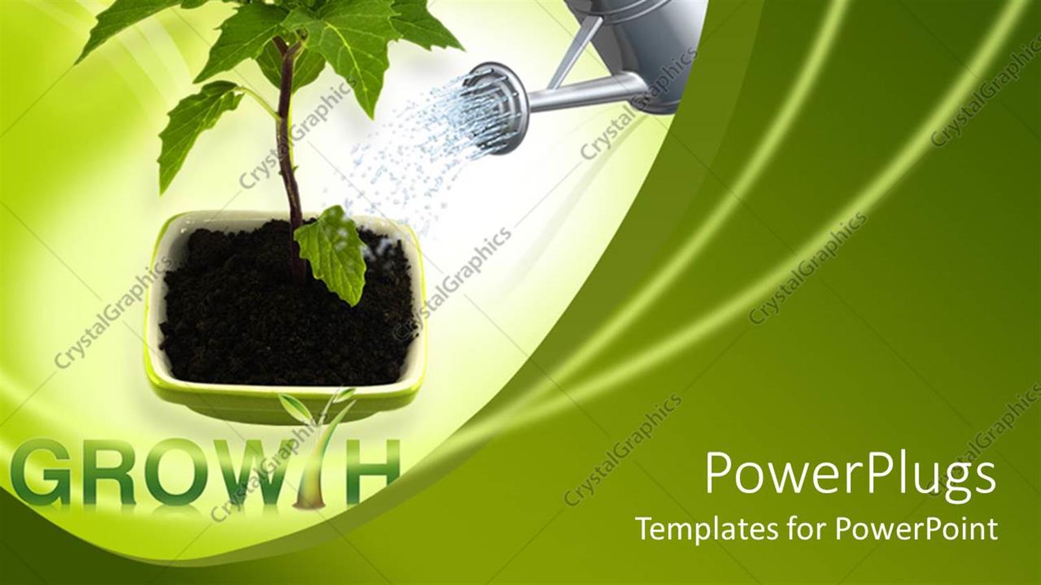 Premium Template for PowerPoint & Google Slides 