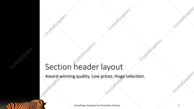 Section Header presentation slide layout