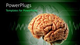 Brain Templates for PowerPoint and Google Slides