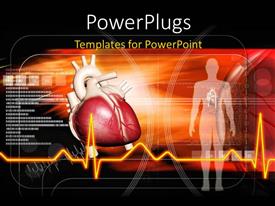 Premium Template for PowerPoint & Google Slides (16772)