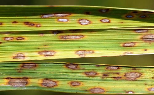 Hình ảnh đã đăng