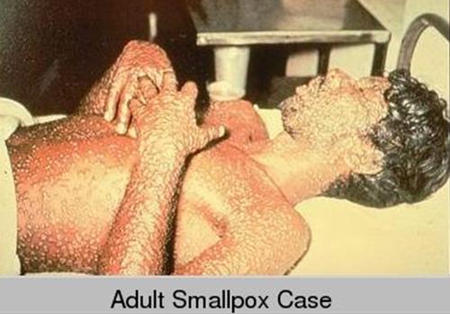 Hình ảnh đã đăng