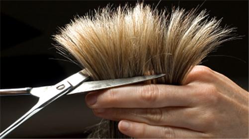 Hình ảnh đã đăng