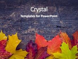 top autumn powerpoint templates backgrounds slides and ppt themes