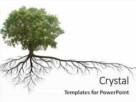 Top Tree With Roots PowerPoint Templates, Backgrounds, Slides and PPT ...
