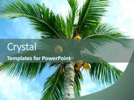 tree powerpoint background