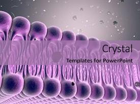 top ion channel powerpoint templates backgrounds slides and ppt ion powerpoint template