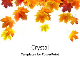 5000 fall leaves border powerpoint templates w fall leaves border fall leaves background powerpoint