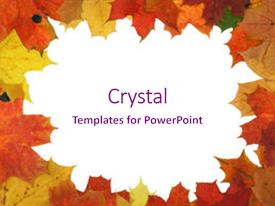 5000 leaf border powerpoint templates w leaf border themed backgrounds autumn ppt background