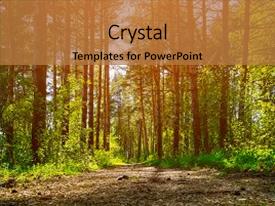 5000 forest powerpoint templates w forest themed backgrounds forest powerpoint background