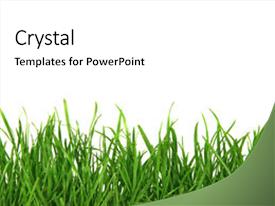 top green grass background powerpoint templates backgrounds slides grass powerpoint templates