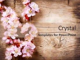 Cherry Blossom Border Powerpoint Templates W Cherry Blossom