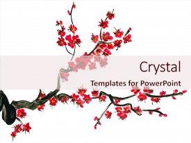 5000 sakura powerpoint templates w sakura themed backgrounds sakura powerpoint template