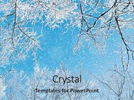5000 winter powerpoint templates w winter themed backgrounds winter powerpoint background