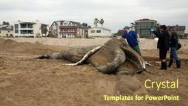  Presentation with juvenile - 