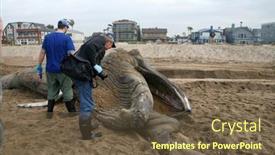  Presentation with juvenile - Audience pleasing presentation theme consisting of 1-15-2016-sunset-beach backdrop and a tawny brown colored foreground