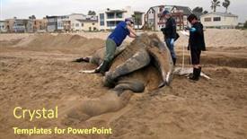  Presentation with juvenile - 