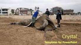  Presentation with juvenile - 