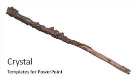  Presentation with single tree - PPT theme consisting of 1 limb - single dry tree branch isolated background and a white colored foreground