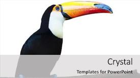  Presentation with puzzle pieces beautiful - PPT layouts having green megaphone and unkle sam background and a sky blue colored foreground